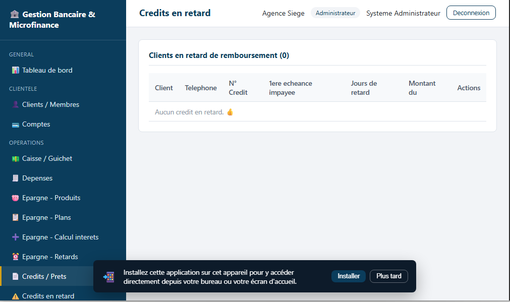 gestion de Bank et microfinance — capture