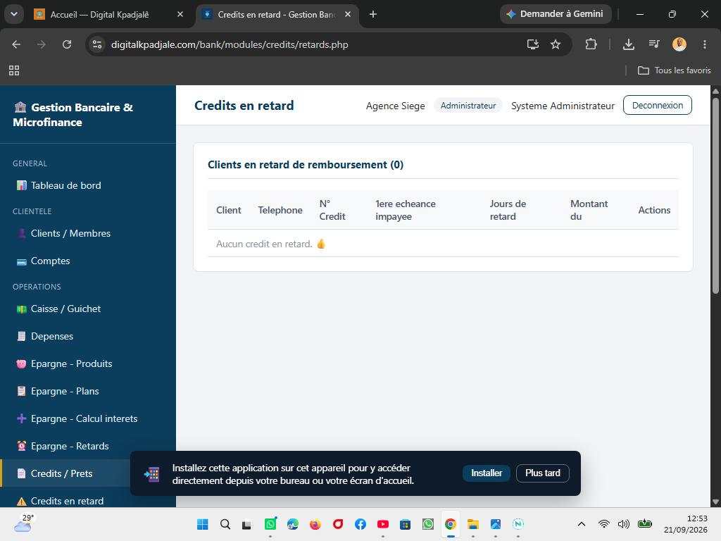 gestion de Bank et microfinance — capture
